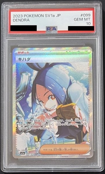 画像1: キハダ 〔PSA10〕 (1)